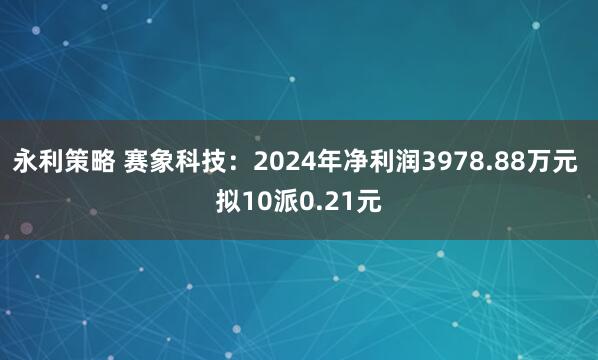 永利策略 赛象科技:2024年净利润3978.88万元 拟10派0.21元
