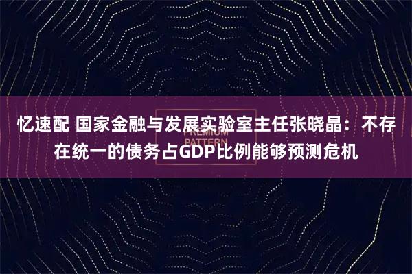 忆速配 国家金融与发展实验室主任张晓晶：不存在统一的债务占GDP比例能够预测危机