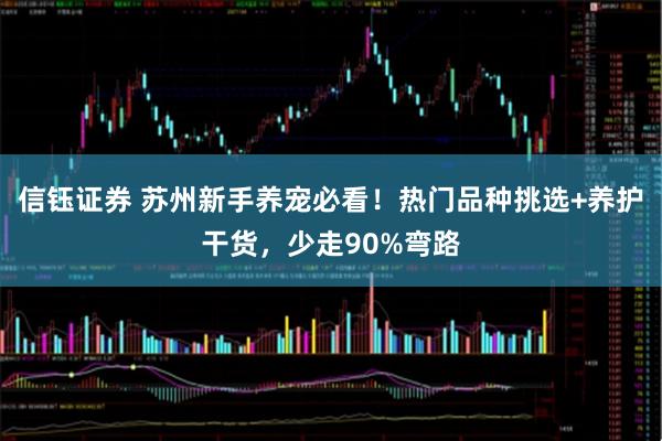 信钰证券 苏州新手养宠必看！热门品种挑选+养护干货，少走90%弯路