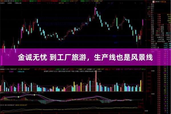 金诚无忧 到工厂旅游，生产线也是风景线